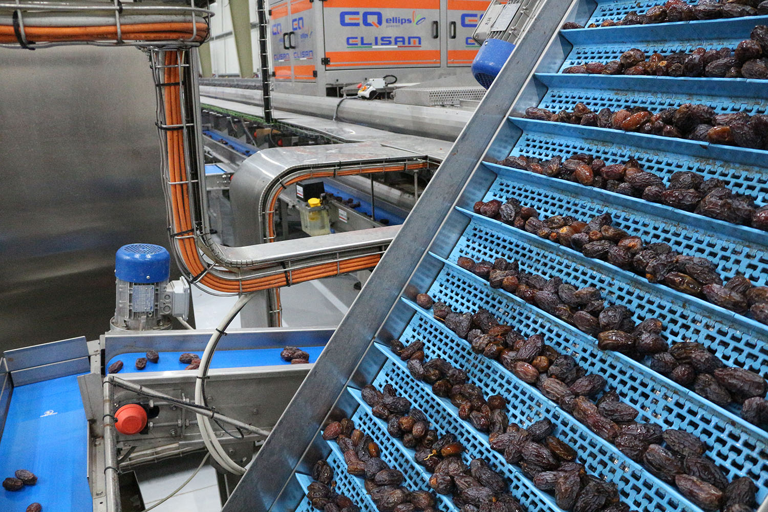 Packing House Medjool Village Perfected By Nature